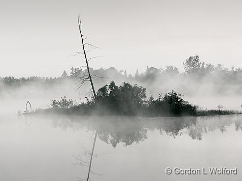Tiny Island In Mist_19875.jpg - Rideau Canal Waterway photographed near Smiths Falls, Ontario, Canada.